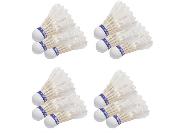 Badmintonball Pro Court - 12 stk Til turnering og konkurranse i badminton