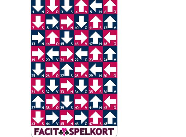 Fasitkortstokk SLAM Kortstokk med fasit 