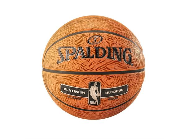 spalding outdoor platinum