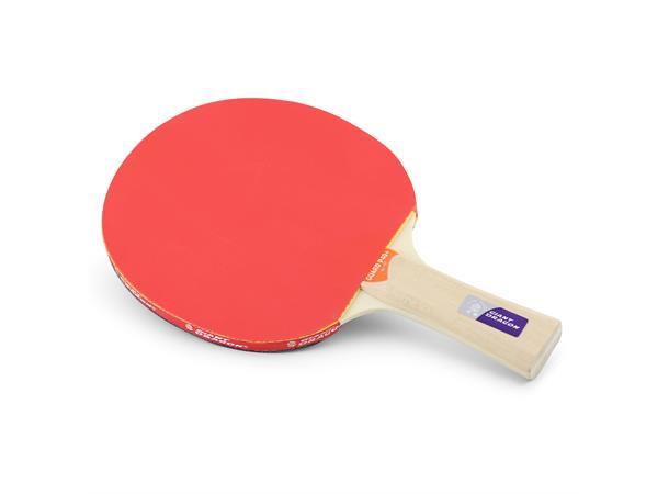Bordtennisracket Klubben Guard Pro P40+ Skole og idrettslag | nybegynner