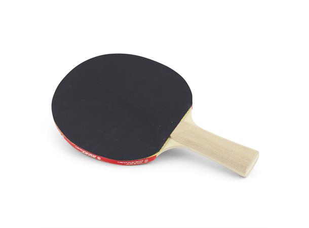 Bordtennisracket Klubben Guard Pro P40+ Skole og idrettslag | nybegynner