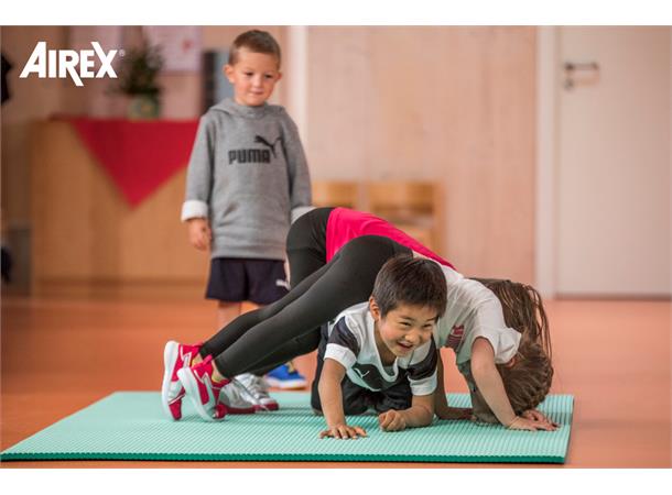 Airex Titania matte 200 x 125 x 3,2 cm Tidligere Airex Olympia gymmatte