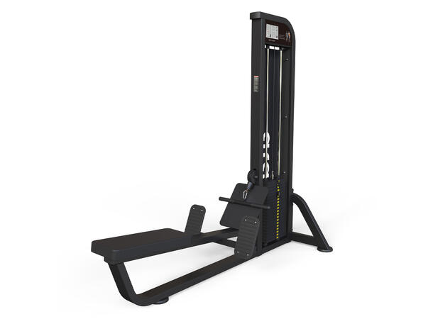 Romaskin Seated Low Pulley ata Treningsapparat | For treningssenter 