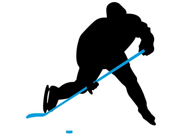 øverste hak retning Bageri Ishockeykølle Nijdam® Senior R 150 cm | venstrebøyd blad -  Idrettsbutikken.no