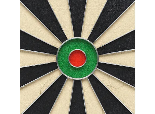 Dartskive Kings Dart Profesjonell HD Internasjonal standard 