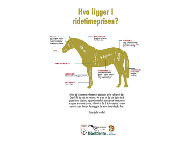 Plakat Hest A2 Illustrasjon av rideskoletimen 