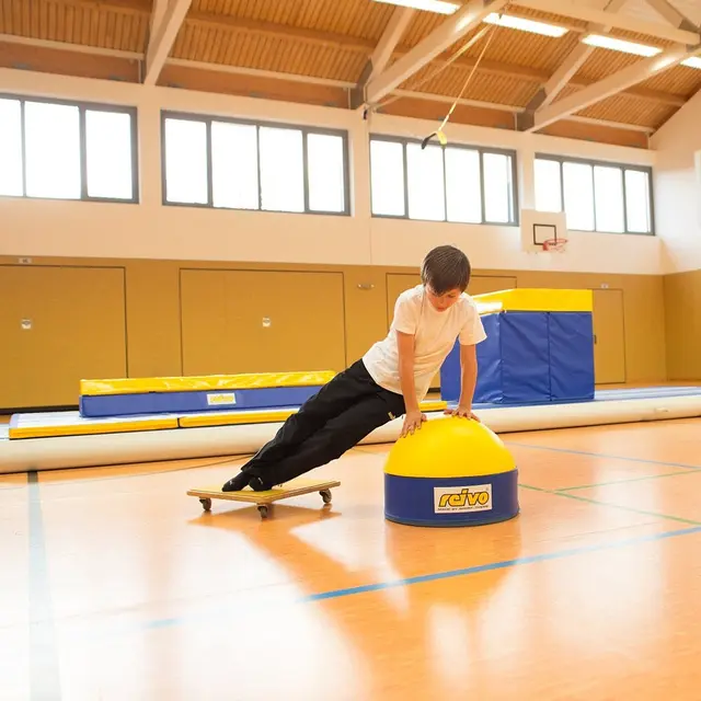 Reivo Rinogym turnsopp Høyde 30 cm | Diameter 50 cm 
