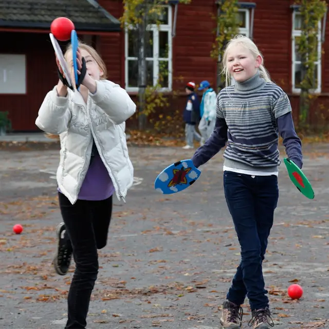 Brettball - sett med 20 par Megasett med Brettball og veiledninger 