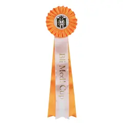 Rosett Bli Med! Cup 10 stk. Oransje