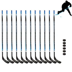 Ishockeykøller og pucker | Senior R 12 ishockeykøller 150 cm | 6 pucker