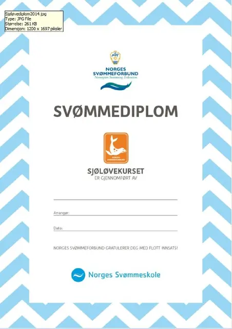 Sjøløven pk á 20 med merker og diplomer Kun til klubber i Norges Svømmeskole 
