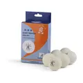 Bordtennisballer Giant Dragon ABS40+ 6 stk |  ITTF | Konkurranse