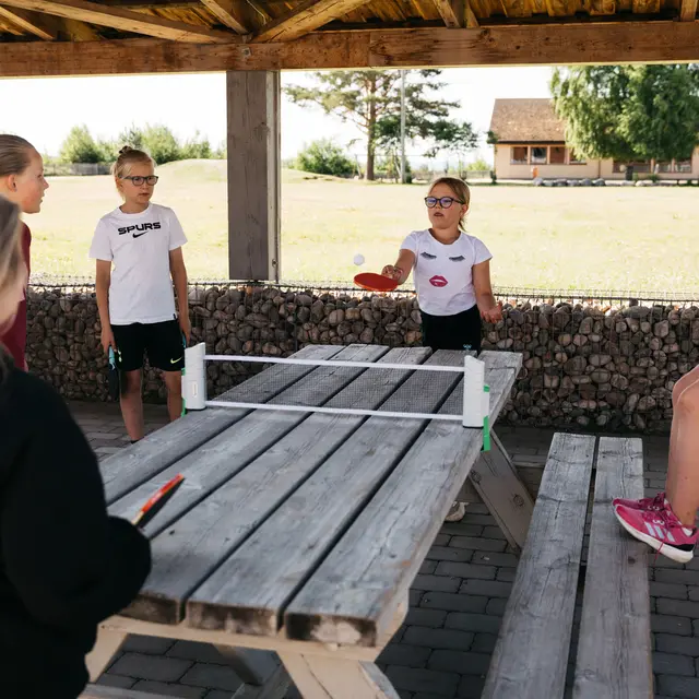 Bordtennisnett Flexnet Spordas Spill bordtennis hvor som helst 